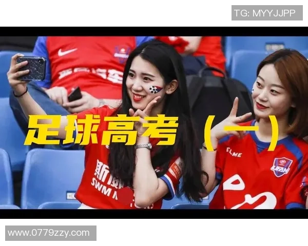 老杨看足球：从草根球迷到战术分析师的成长之路